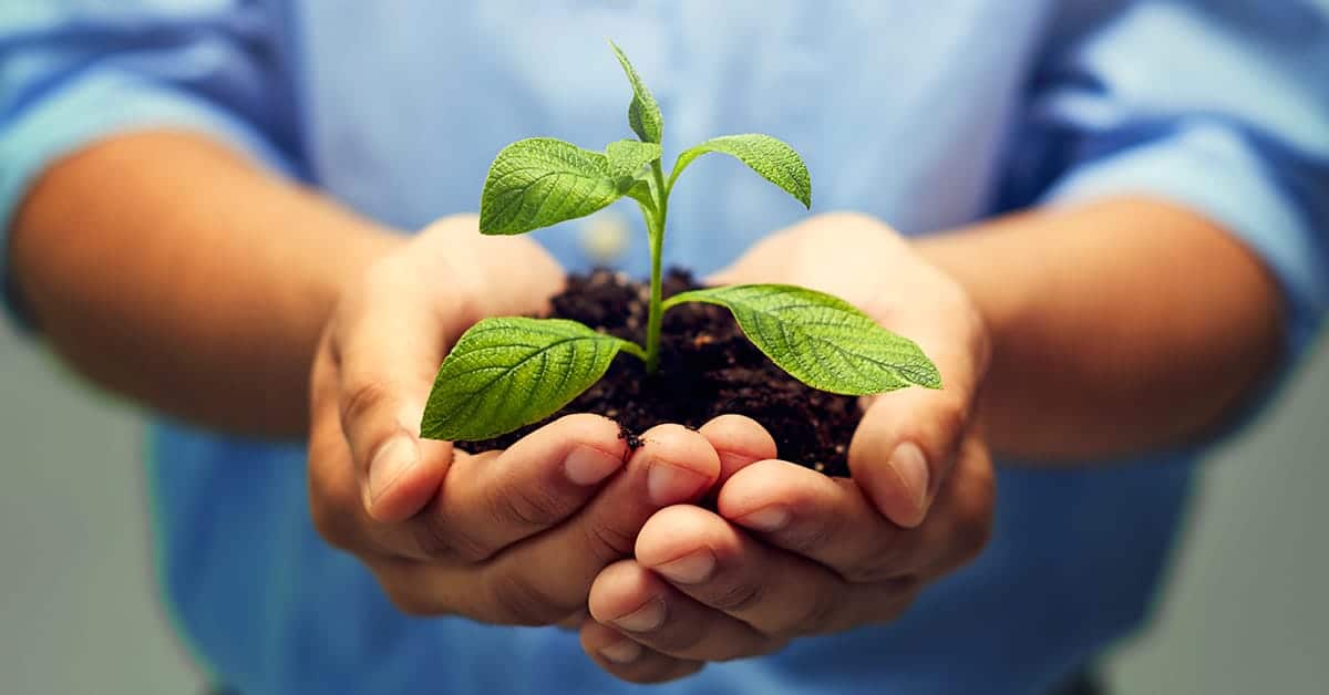 Biokill Biodergradável