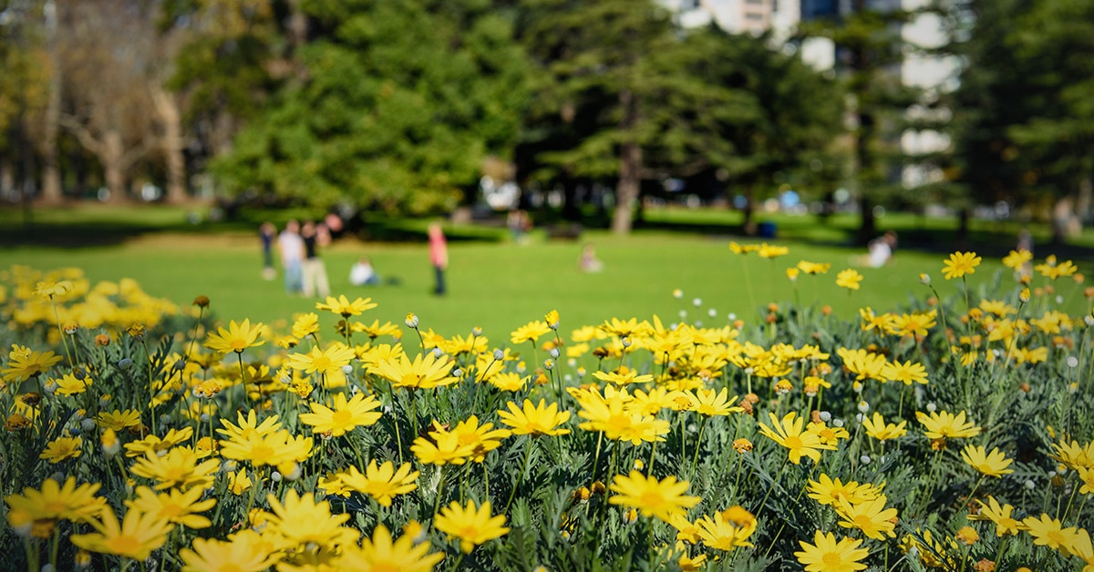 Com a chegada da primavera, a natureza desperta e os jardins enchem-se de cor e vida.